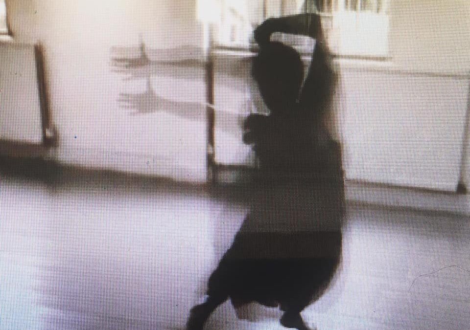 I cannot stand by and watch this happen any more. How can I make them see? // Gemma Abbott